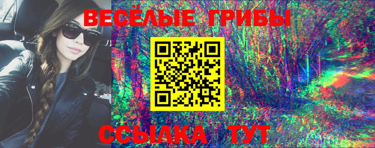 Галлюциногенные грибы Psilocybe  Псилоцибиновые грибы Cubensis  Вход с VPN  Новокузнецк 